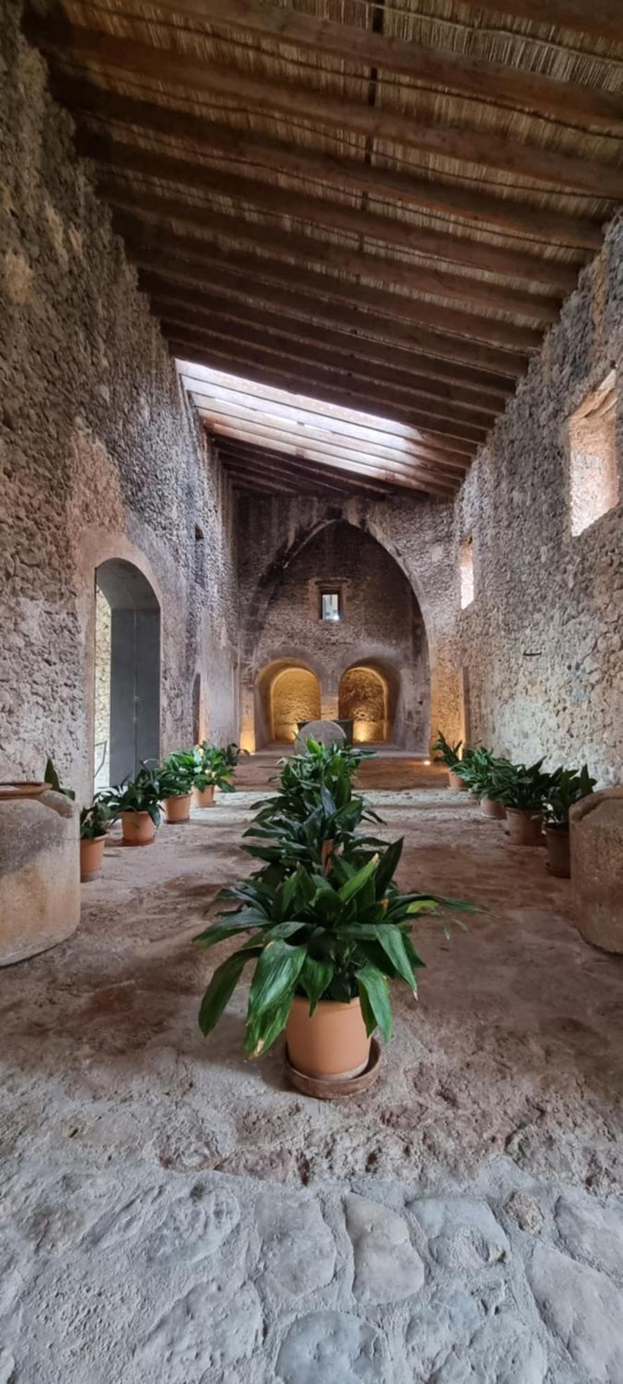 Finca Es Cabas Santa Maria del Cami  Luaran gambar