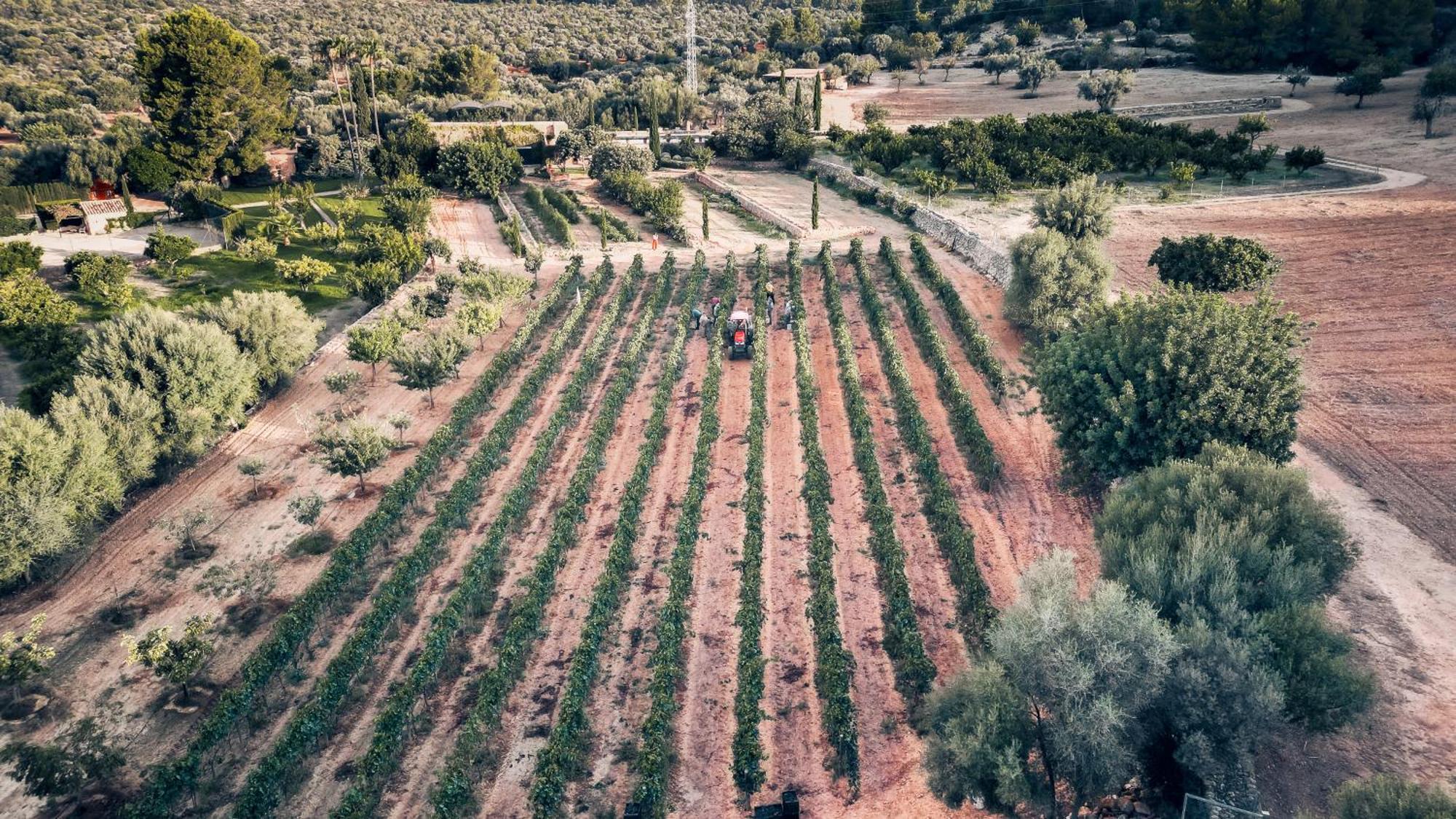 Finca Es Cabas Santa Maria del Cami  Luaran gambar