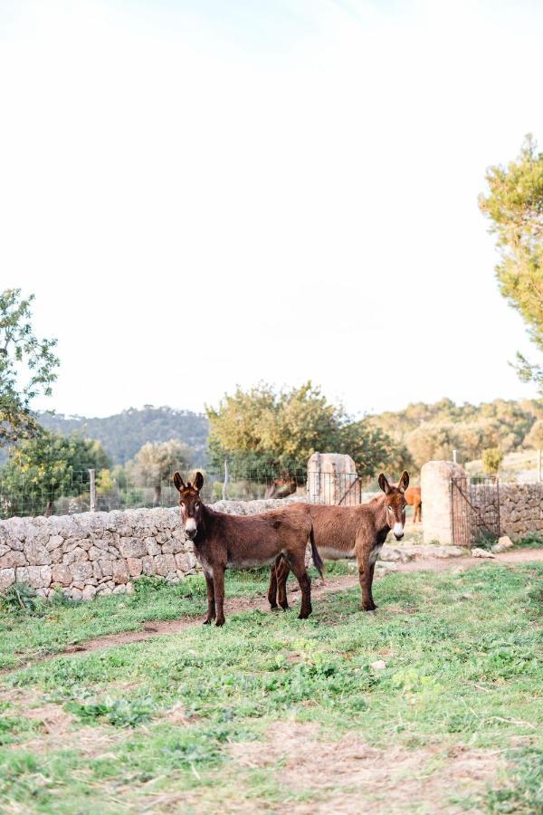 Finca Es Cabas Santa Maria del Cami  Luaran gambar