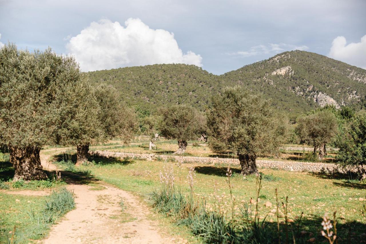 Finca Es Cabas Santa Maria del Cami  Luaran gambar